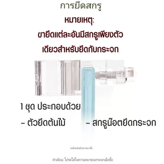 อะคริลิคใสส ำหรับยึดลำต้นพืช ใช้ติดขอบกระจกตู้