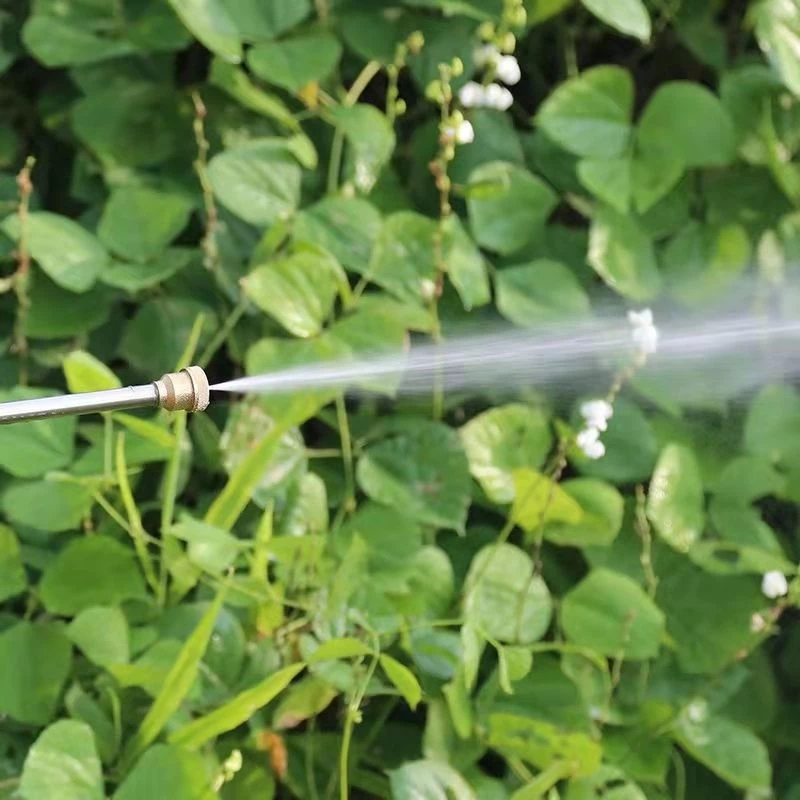 รูปภาพ 9