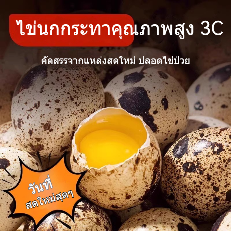 ไข่นกกระทาอบเกลือ ไข่ตุ๋น แก้หิวตอนกลางคืน เปิดถุง อาหารเคี่ยวพร้อมทาน ขนมห่อเล็ก ของว่าง ของว่างเล - รูปที่ 2