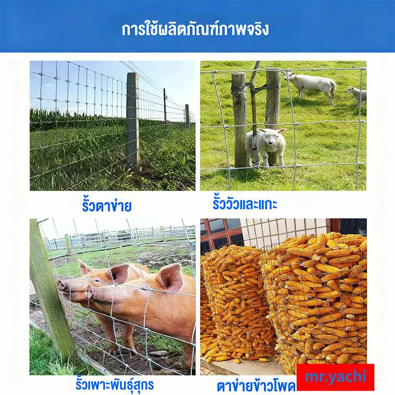 รั้ว เกษตร ตาข่ายถักปมล้อมรั้ว ตาข่ายถักปม รูปที่ 8