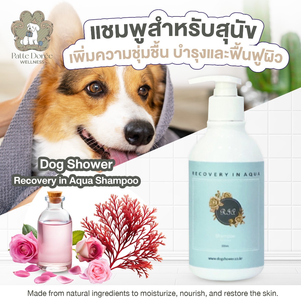 Dog Shower-Recovery in Aqua Shampoo
