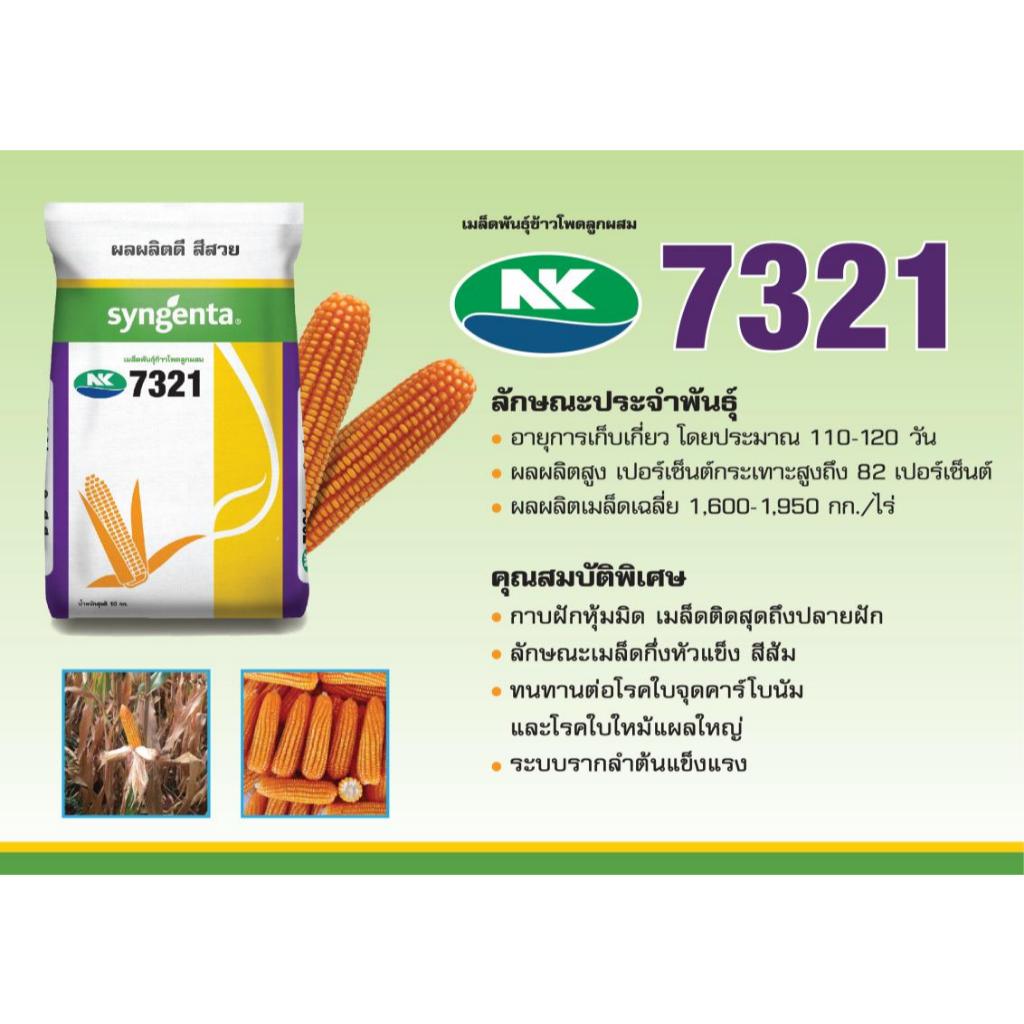 เมล็ดพันธุ์ข้าวโพด เอ็นเค NK 7321