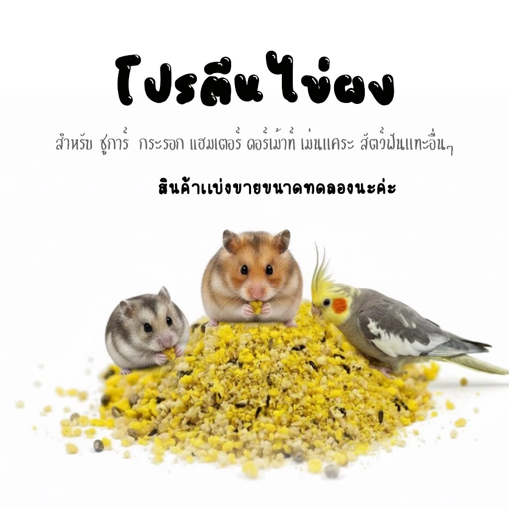 ผงโรยหน้าอาหารสัตว์ เพิ่มโปรตีน สำหรับแฮมเตอร์ ชูการ์ เม่น และสัตว์ฟันแทะ thumbnail 6