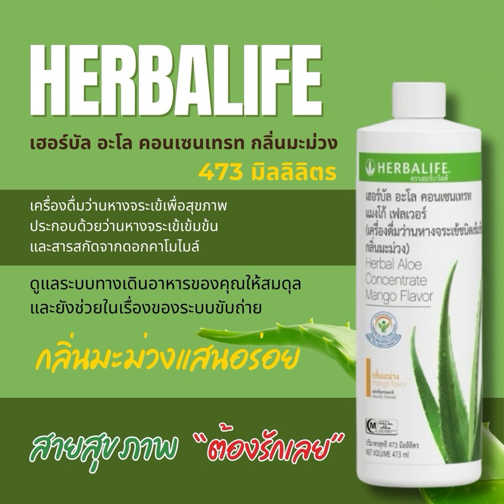 Flavor เฮอร์บัล อะโล คอนเซนเทรด แมงโก้ เฮอร์บาไลฟ์ herbalife ถูกและดี อร่อย