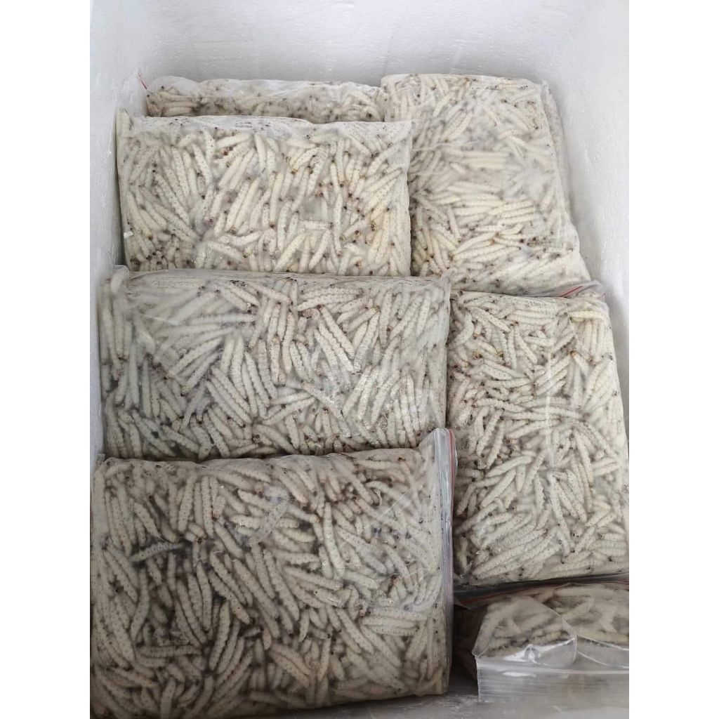 รูปภาพ 7