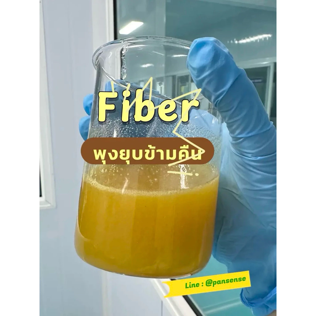 ไฟเบอร์สับปะรด thumbnail 3