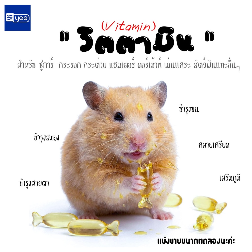 วิตามินน้ำมันตับปลา สาหร่าย DHA โปรไบโอติก ธาตุเหล็ก  สำหรับ แฮมเตอร์ ดอร์เม้าท์ ชูการ์ กระรอก สัตว์ฟันแทะอื่นๆ
