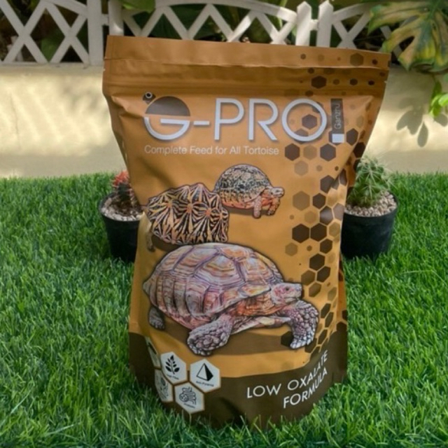 อาหารเต่าบกกันจูโปรสูตรใหม่ 1 กิโลกรัม ถุงใหม่ (Exp.19/03/27)