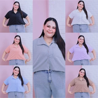[ ส่งฟรี 🔥 ] A342/A442 Candy Crop เสื้อครอปแขนสั้นสาวพลัสไซส์ ครอปสาวอวบ (อก : 46-60“)