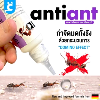[ส่งฟรี🇹🇭] Anti Ant เจลกำจัดมด และแมลง ปลอดภัย ไร้กลิ่น แอนตี้แอนท์ CleverPet