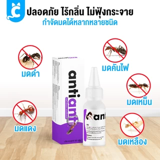 [ส่งฟรี🇹🇭] Anti Ant เจลกำจัดมด และแมลง ปลอดภัย ไร้กลิ่น แอนตี้แอนท์ CleverPet