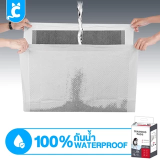 [ส่งฟรี🇹🇭] CleverPet แผ่นรองฉี่ชาโคล สุนัข แผ่นรองฉี่แมว ซึมดี เก็บกลิ่น Dog Training Pad