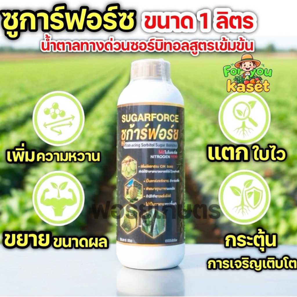 พร้อมส่ง น้ำตาลทางด่วน ซอร์บิทอล ซูก้าร์ฟอร์ซ ให้ผสมสารจับแมลง ผสมกับปุ๋ย ขยายผลดก ขนาด 1 ลิตร