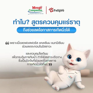 Felipro เฟลิโปร อาหารเม็ดแมว 1 kg 20 ถุง อาหารเม็ด อาหารแมว โซเดี่ยมต่ำ ไม่เค็ม ไม่เกลือ ขนสวย
