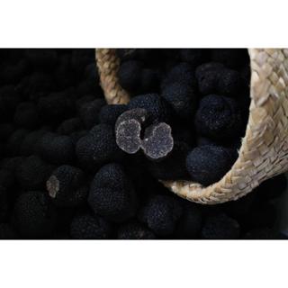 วินเทอร์ทรัฟเฟิล winter truffle