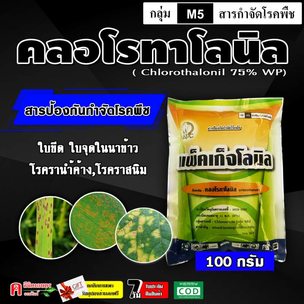 // แพ็ค10ซอง // (100 กรัม) คลอโรทาโลนิล75% ใช้ป้องกันกำจัดโรคพืช โรคใบจุด โรคราน้ำค้าง โรคแอนแทรคโนส