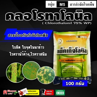 // แพ็ค10ซอง // (100 กรัม) คลอโรทาโลนิล75% ใช้ป้องกันกำจัดโรคพืช โรคใบจุด โรคราน้ำค้าง โรคแอนแทรคโนส