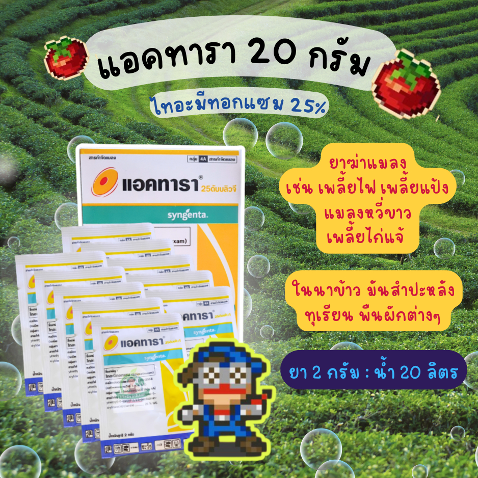 แอคทารา 2 กรัม x 10 ซอง ไทอะมีทอกแซม ซินเจนทา ยาฆ่าแมลงหวี่ขาว เพลี้ยแป้ง เพลี้ยไฟ เพลี้ยไก่แจ้