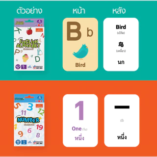 Mornington Flashcard ชุดแฟลชการ์ด การ์ดคำศัพท์ บัตรคำ 3 ภาษา เสริมพัฒนาการเด็ก / กล่อง