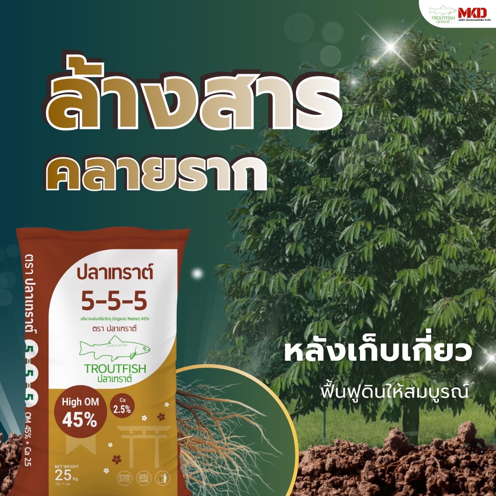 ปุ๋ยปลาเทราต์ สูตร 5-5-5 +2.5Ca + 45 OM ขยายขนาดใบ ช่วยให้ใบหนา เขียวเข้ม - รูปที่ 2