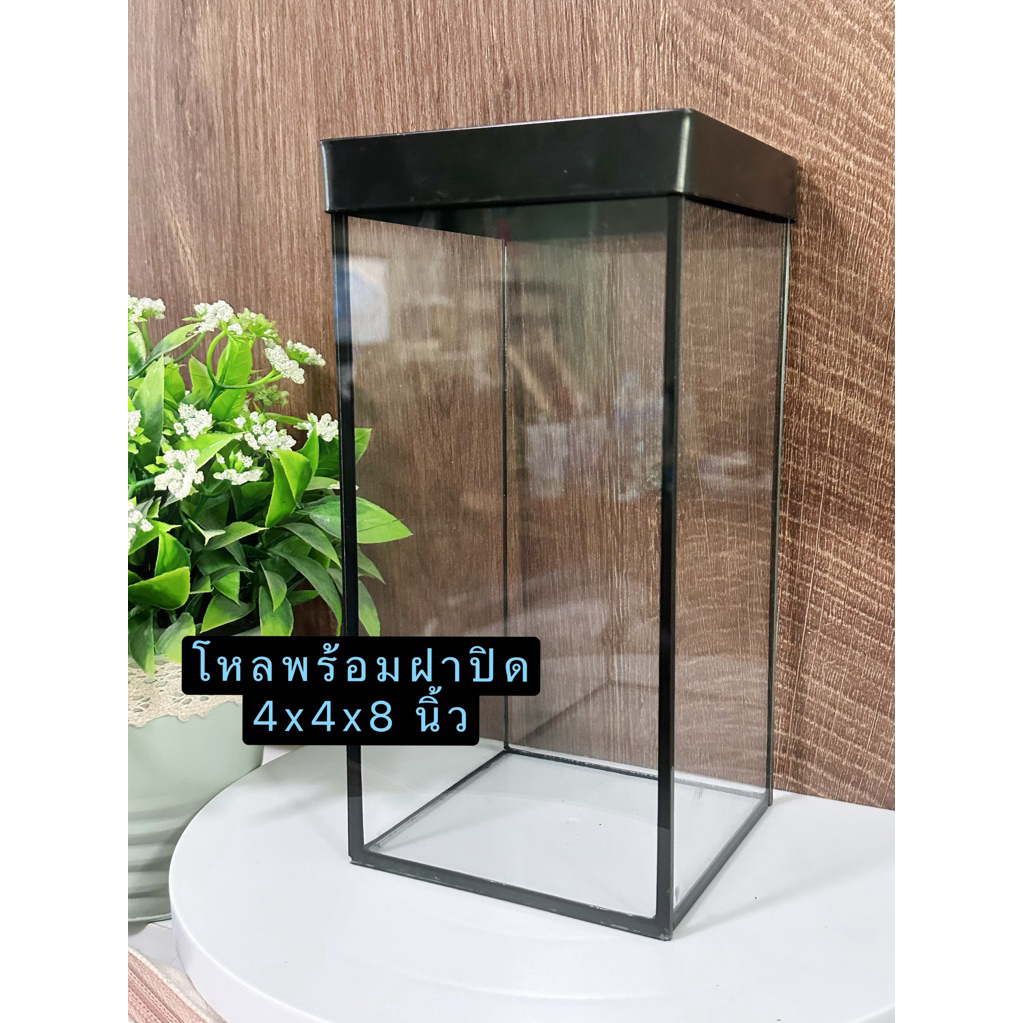 พร้อมส่ง!โหลปลากัด พร้อมฝาปิด ขนาด 4x4x8นิ้ว