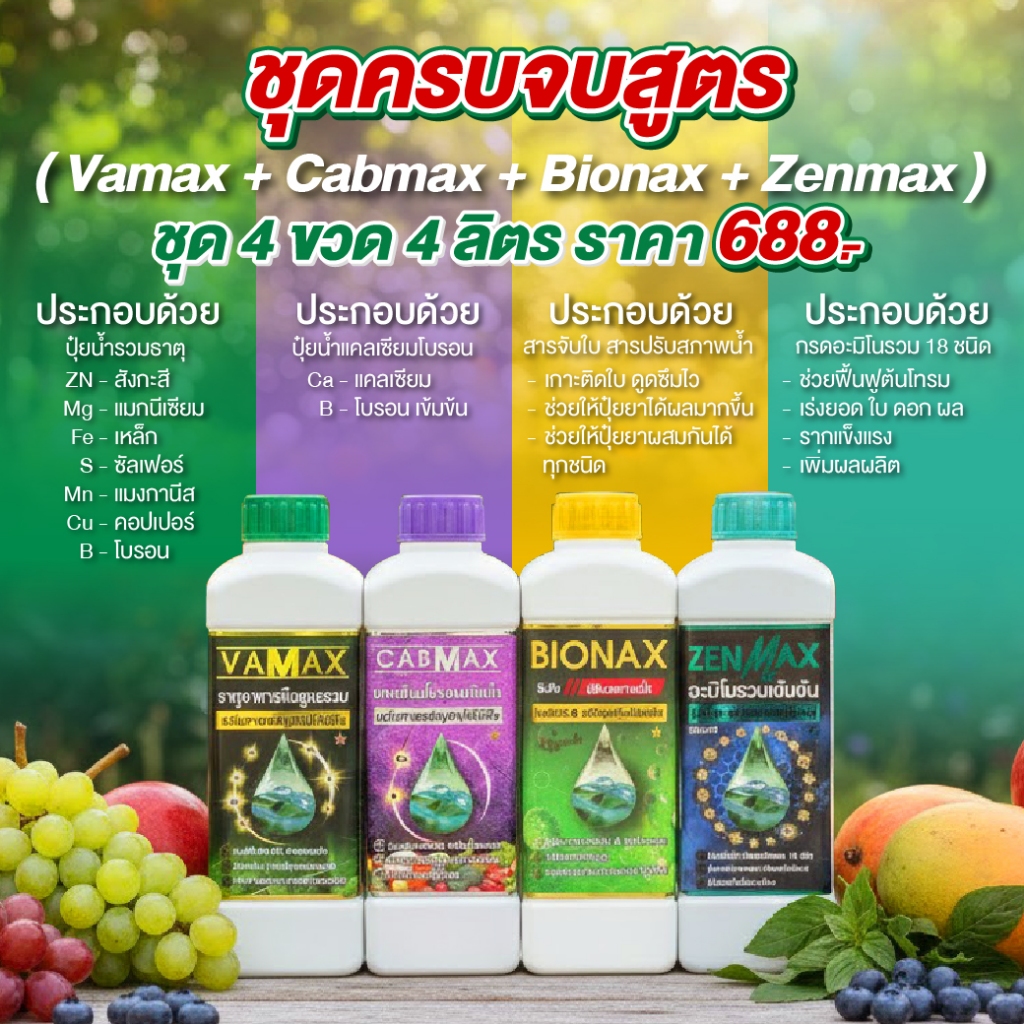 ชุดครบสูตร VAMAX+CABMAX+BIONAX+ZENMAX