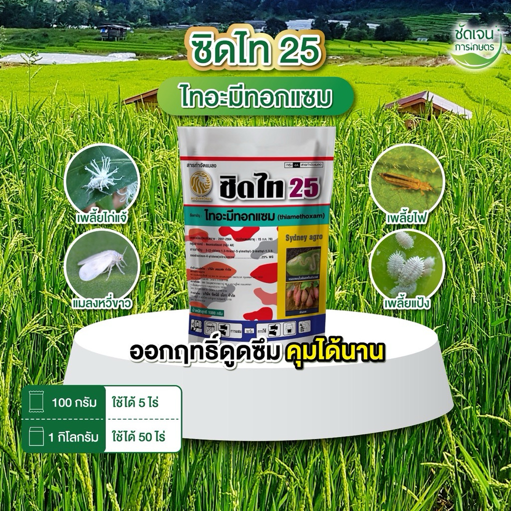 ซิดไท25 (ไทอะมีทอกแซม) ขนาด 1 กิโลกรัม เพลี้ย แมลงหวี่ขาว ใช้ได้ 50 ไร่