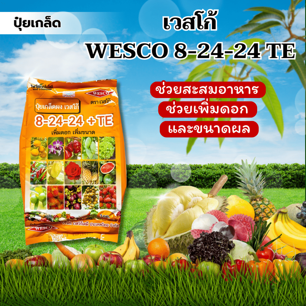 ปุ๋ยเกล็ด เวสโก้ WESCO 8-24-24 TE (1000G) ช่วยสะสมอาหาร ช่วยเพิ่มดอก และขนาดผล