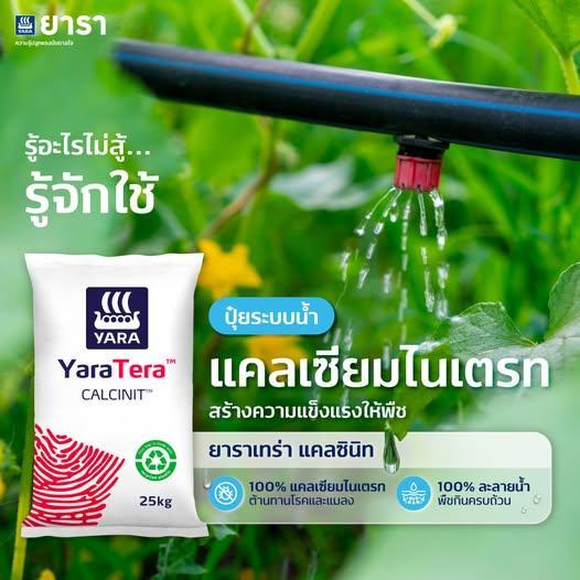 ยาราเทร่า แคลซินิท 15-0-0 สร้างความแข็งแรงให้พืช ขนาด 25 กก.