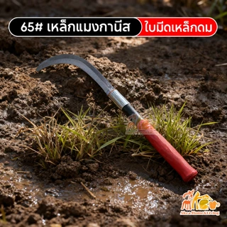 เคียวแมงกานีส เคียวเกี่ยวหญ้า เคียวอเนกประสงค์ เหล็กแมงกานีสหนา ด้ามจับกันลื่น เพิ่มหนาทนทาน ขัดเงาอย่างละเอียด