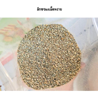 ทรายรองกรงแฮมสเตอร์ Chibi San ผสมชาร์โคล Hamster Cage Bedding สำหรับหนูแฮมสเตอร์