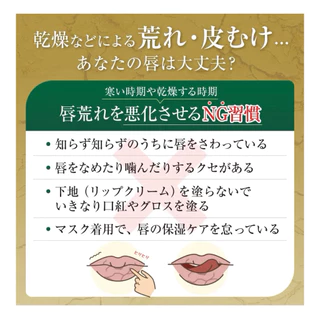 🇯🇵 Mentholatum Lip Medicated Lip, Repair One, Mint Menthol Scent (2.3 g), Rough Intensive Repair, made in Japan ของแท้
