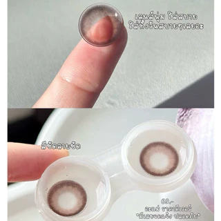 Limited Ilens Olive Choco pink ตาหวาน น้ำตาลชอคโก้ชมพู ( Bigeye )