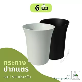กระถางปากแตร 6 นิ้ว. ผิวด้าน กระถางพลาสติกดำ กระถางแคคตัส
