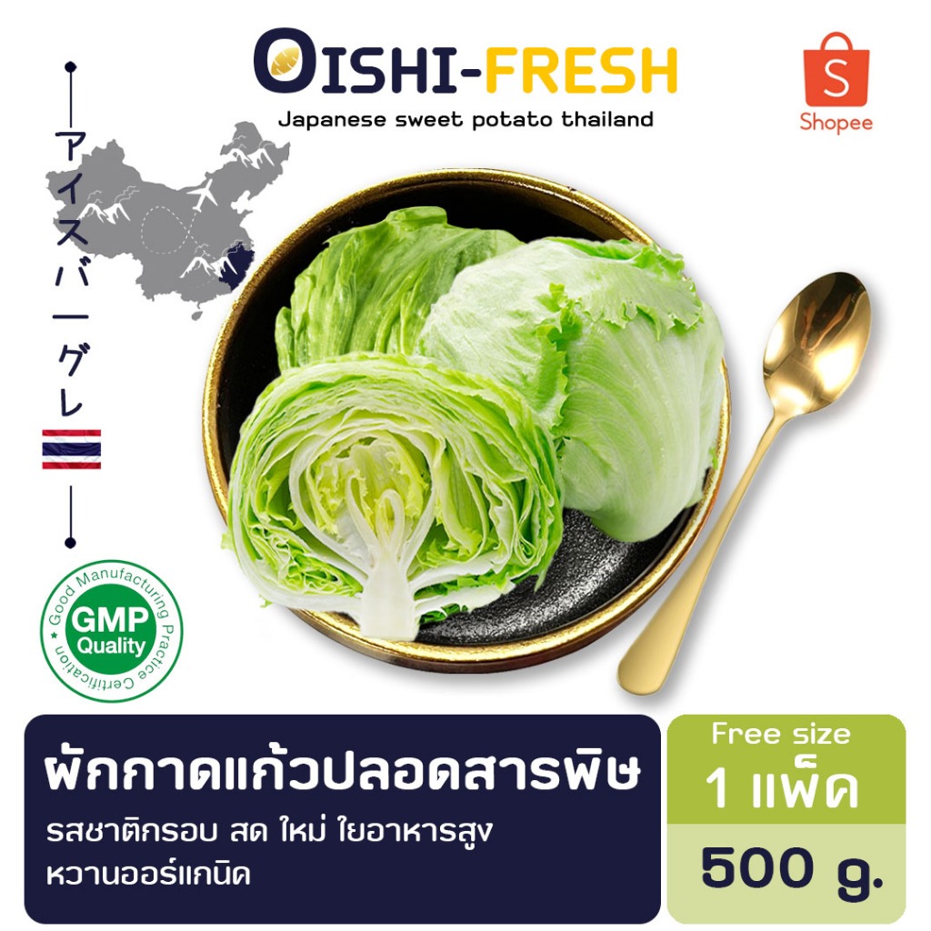🛒Oishi-Fresh🥬ผักกาดแก้ว ปลอดสารพิษ 1 กก. รสชาติกรอบ สด ใหม่ ใยอาหารสูง หวานออร์แกนิค เคลมได้ 1-2 วัน