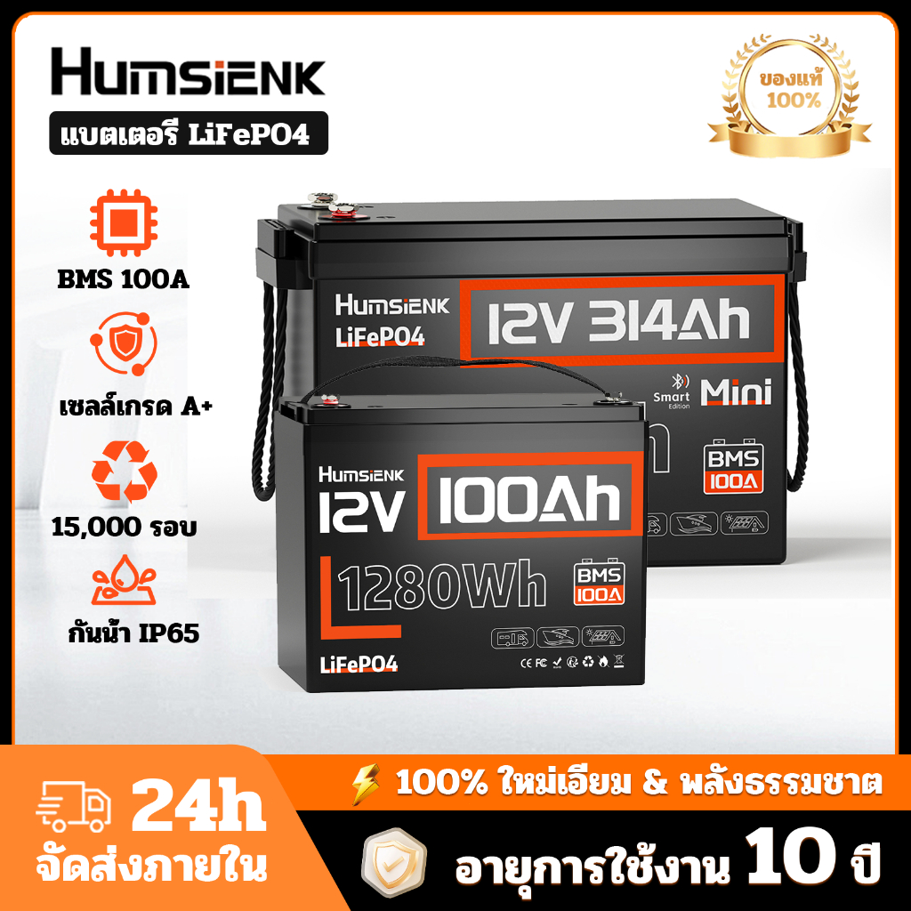 Humsienk 12V 100Ah 300Ah พลังงานแสงอาทิตย์ LiFePO4 แบตเตอรี่เก็บพลังงาน เครื่องชาร์จพิเศษ, 20Ah