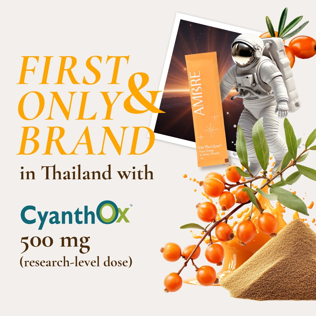 AMBRE On The Glow+ | อาหารเสริมผิว | Cyanthox™ + Oryza Ceramide™ + CoQ10 + Probiotic | 1 กล่อง ราคา ถูกที่สุด ดีลบีเคเค แกลเลอรีภาพที่ 6