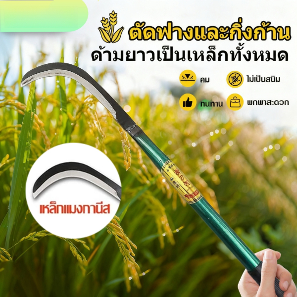 เครื่องมือกำจัดวัชพืชการเกษตร,กรรไกรตัดแต่งด้ามยาว,มีดตัดหญ้ากลางแจ้ง,มีดกล้วย,มีดทุเรียน