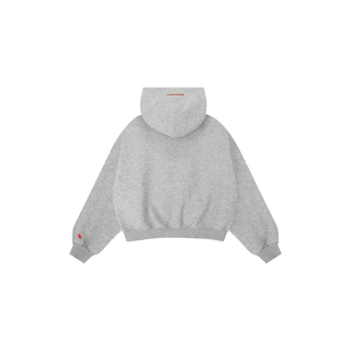 Winter Duality – New Light Hoodie Zip09 (Grey)
