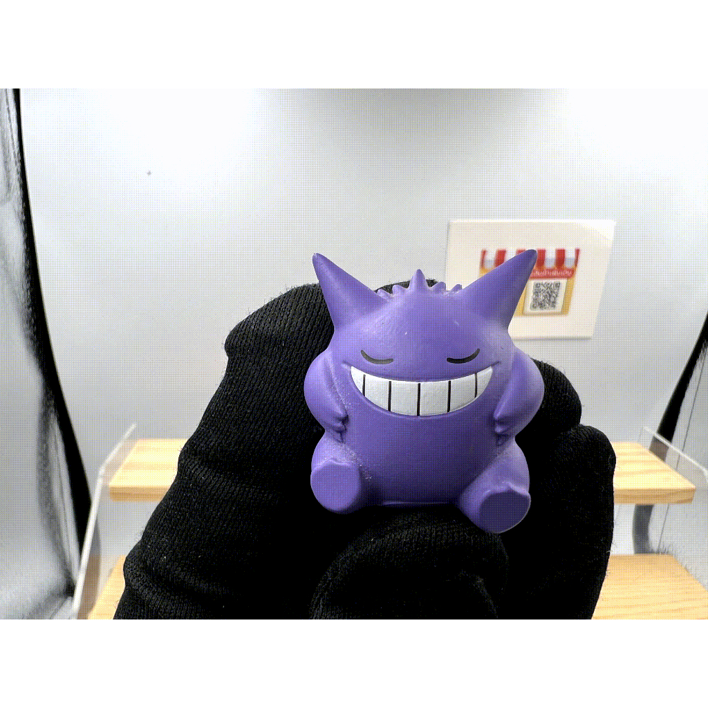 Pokemon Sleeping Gengar