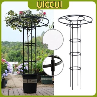 ซุ้มกุหลาบ ซุ้มกุหลาบเลื้อย โครงกุหลาบเลื้อย ซุ้มไม้เลื้อย