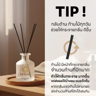 OFINNY ก้านไม้หอม REED DIFFUSER 50ml สารสกัดธรรมชาติ ไม่ผสมแอลกอฮอล หอมทนนาน 3-4 สัปดาห์ ประดับห้อง