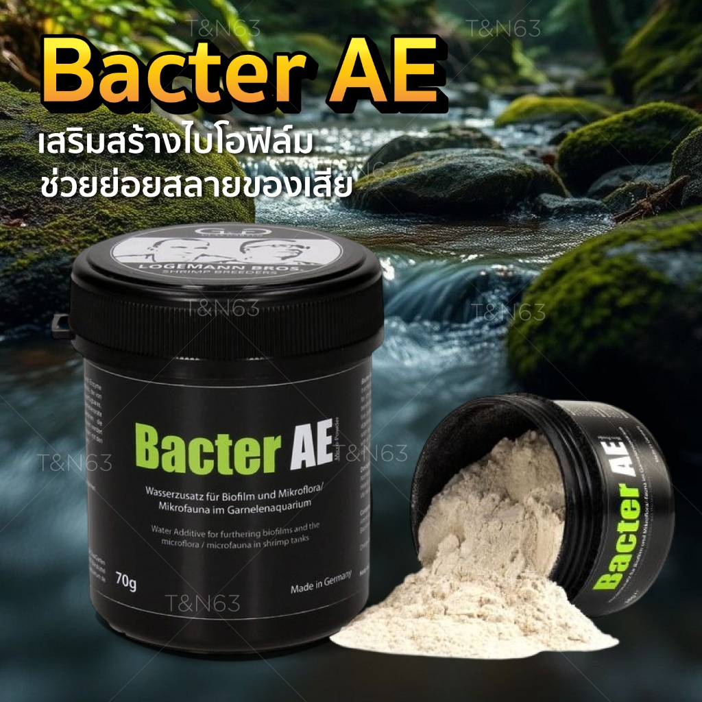Bacter AE แบคทีเรียเสริมระบบน้ำ สร้างไบโอฟิล์ม เพิ่มจุลินทรีย์ บ่อกุ้ง ปลา ตู้ไม้น้ำ แบคทีเรียตู้ปลา