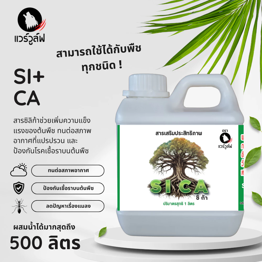 Si Ca - Plant Material - [1 L] ปุ๋ยซิลิก้า เพิ่มความแข็งแรง เพิ่มความทนทานต่อสภาพอากาศ ปุ๋ยเสริม ปุ๋ยเร่ง Silica ปุ๋ย