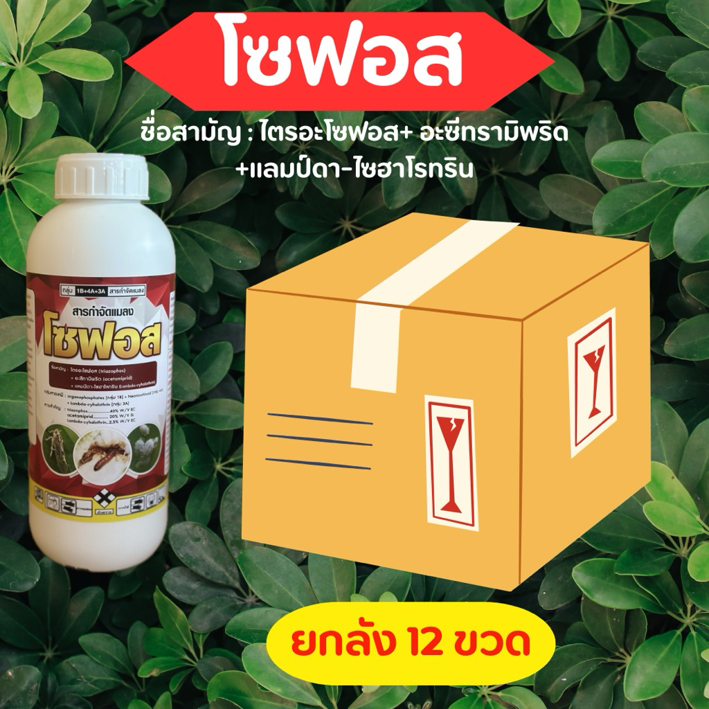 โซฟอส[ยกลัง 12 ขวด] ไตรอะโซฟอส 40%+อะซีทรามิพริด้วย+แล้วมป์ดา-ไซฮาโลทริน ออกฤทธิ์กินตาย ถูกตัวตาย แมลงปากดูด แมลงปีกแข็ง