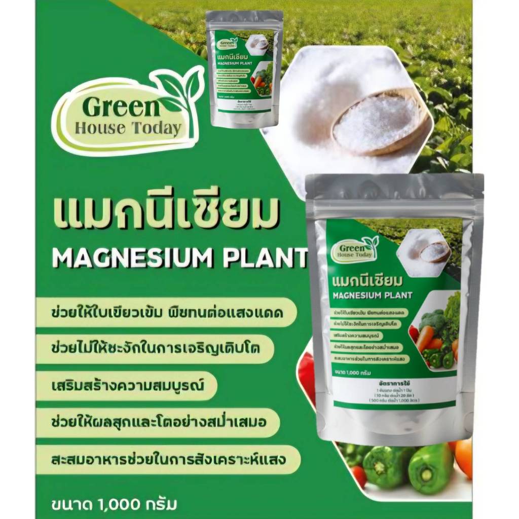 แมกนีเซี่ยม แมกนีเซี่ยมซัลเฟต Magnesium Sulphate สังเคราะห์แสง ใบเขียว ขนาด 1 กิโลกรัม ละลายน้ำ 100%ถุงฟลอยกันชื้น