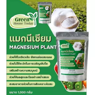 แมกนีเซี่ยม แมกนีเซี่ยมซัลเฟต Magnesium Sulphate สังเคราะห์แสง ใบเขียว ขนาด 1 กิโลกรัม ละลายน้ำ 100% แบ่งขายจากกระสอบ