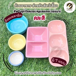 ถ้วยอาหาร สำหรับสัตว์เลี้ยงขนาดเล็ก (เซรามิก) เหมาะสำหรับ ชูก้าไกลเดอร์, หนูแฮมสเตอร์, ดอร์เมาส์