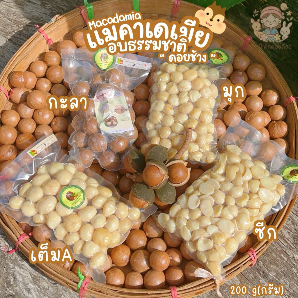 แมคคาเดเมีย (200 กรัม )อบสดใหม่ สดจากสวน ปลูกเองโดยเกษตรกรดอยช้าง