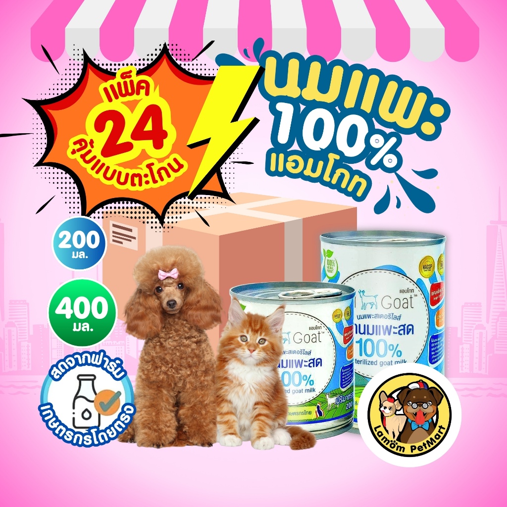 (แพ็ค x 24 กระป๋อง) 400/200 กรัม นมแพะ 100% แอมโกท สำหรับสัตว์เลี้ยง ไม่มีนมผง ย่อยง่า ดูดซึมเร็ว วิตามินครบถ้วน